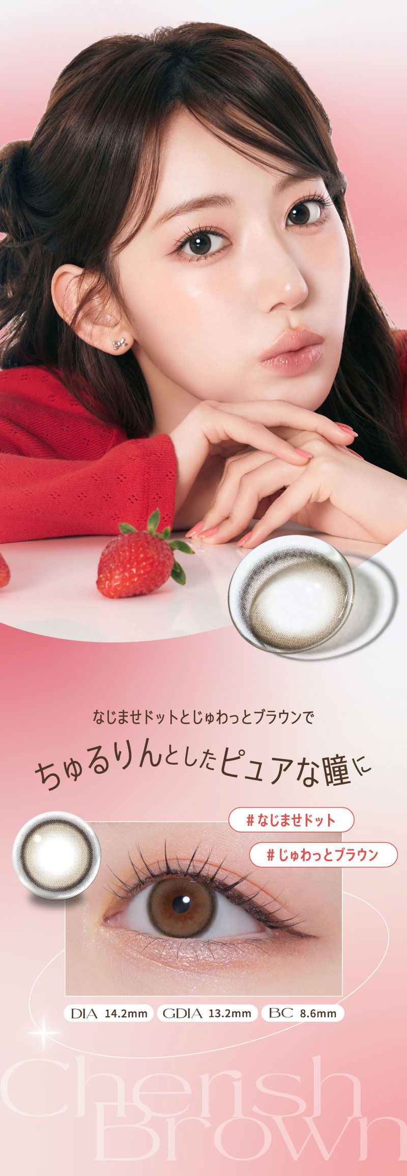 モラク1day