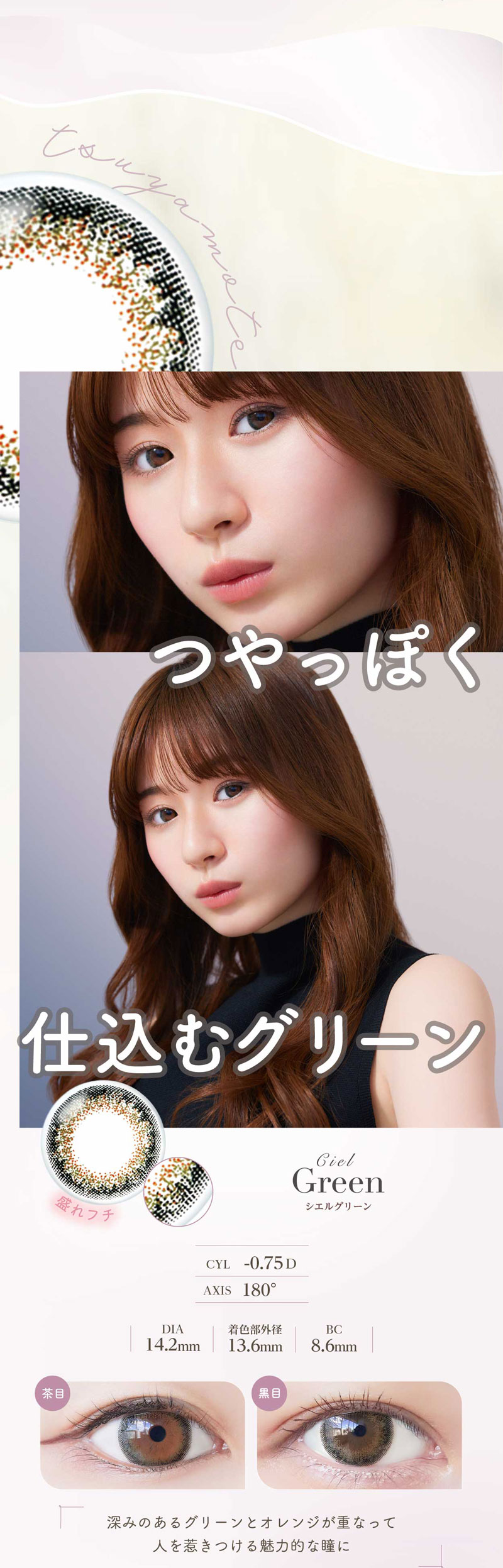 ネオサイトワンデーシエルUVトーリック