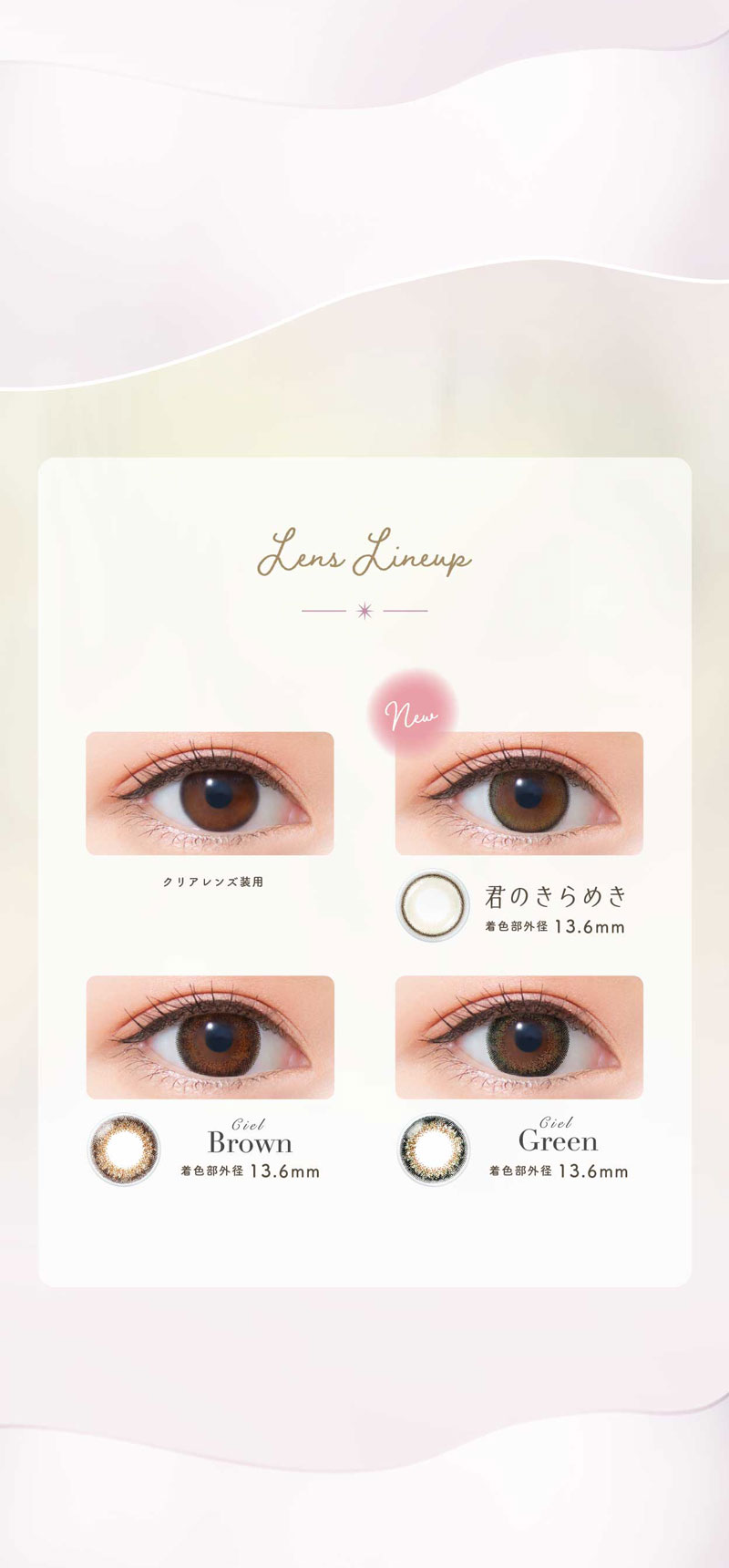 ネオサイトワンデーシエルUVトーリック