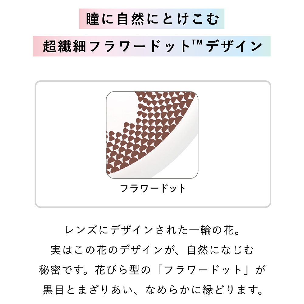 商品説明