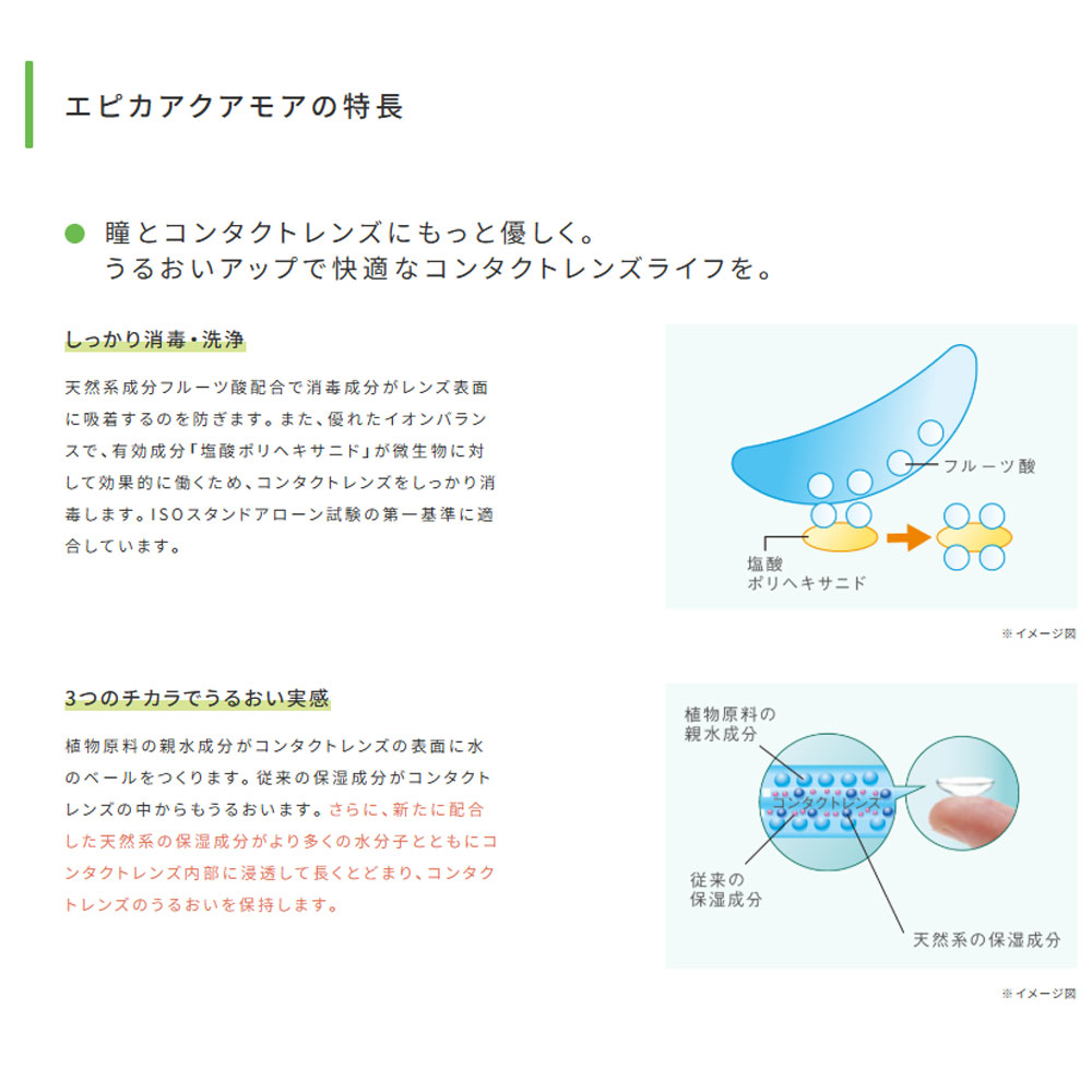 メニコン エピカ アクアモア 310ml