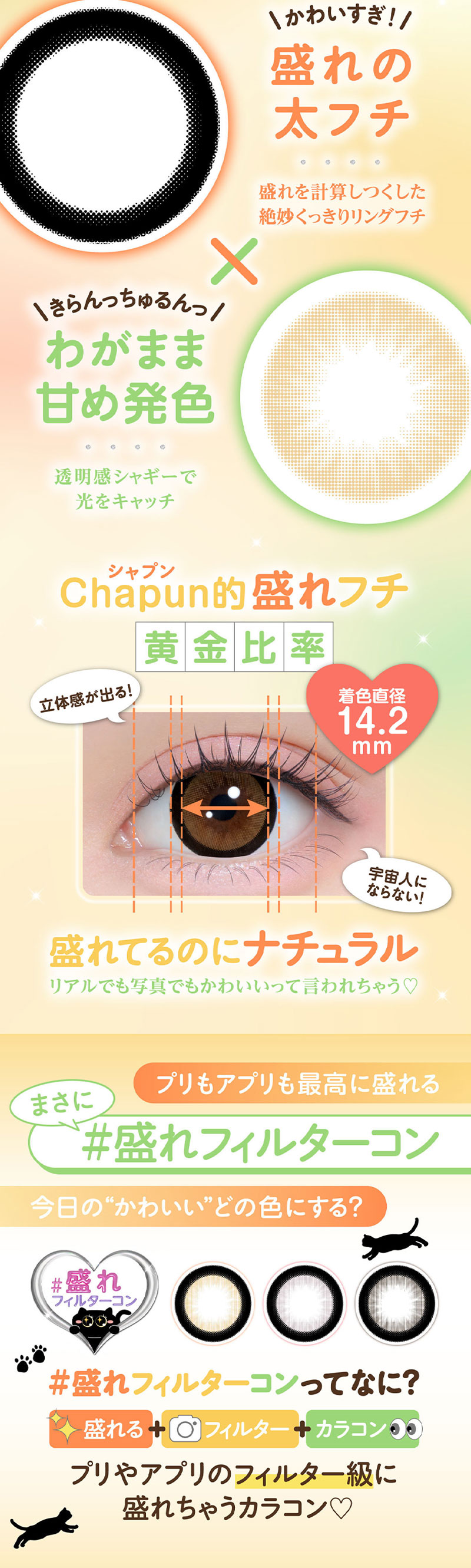 chapun