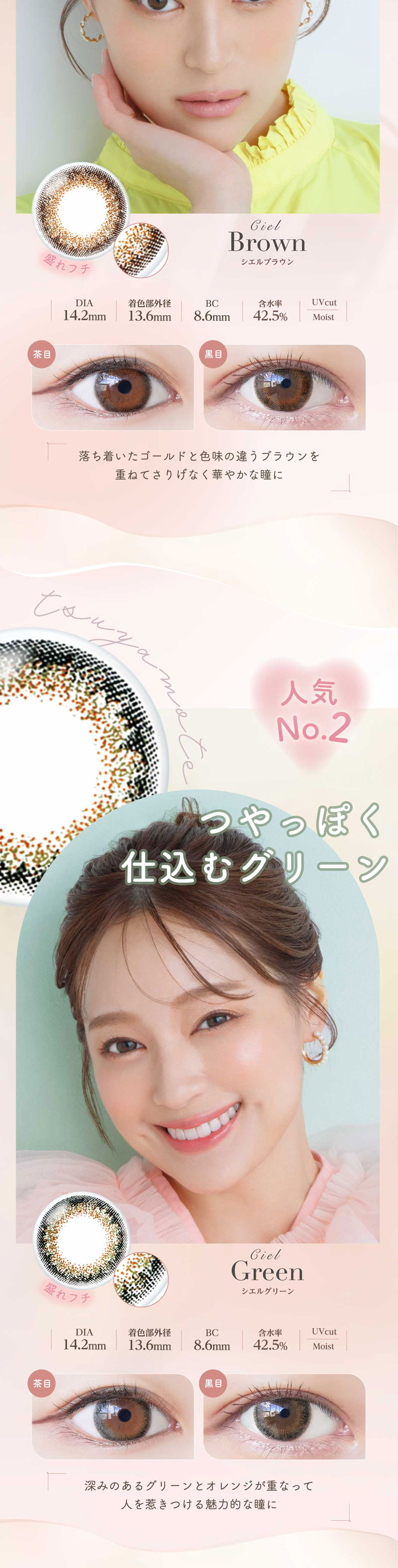 ネオサイトワンデーシエルUV説明