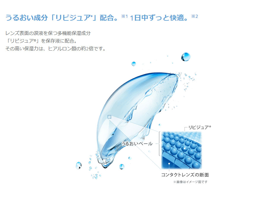 ワンデーアクエア エボリューション