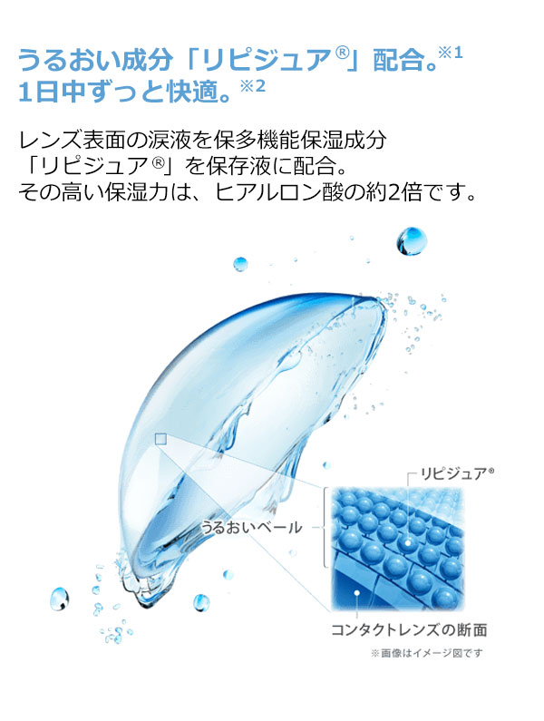 ワンデーアクエア エボリューション