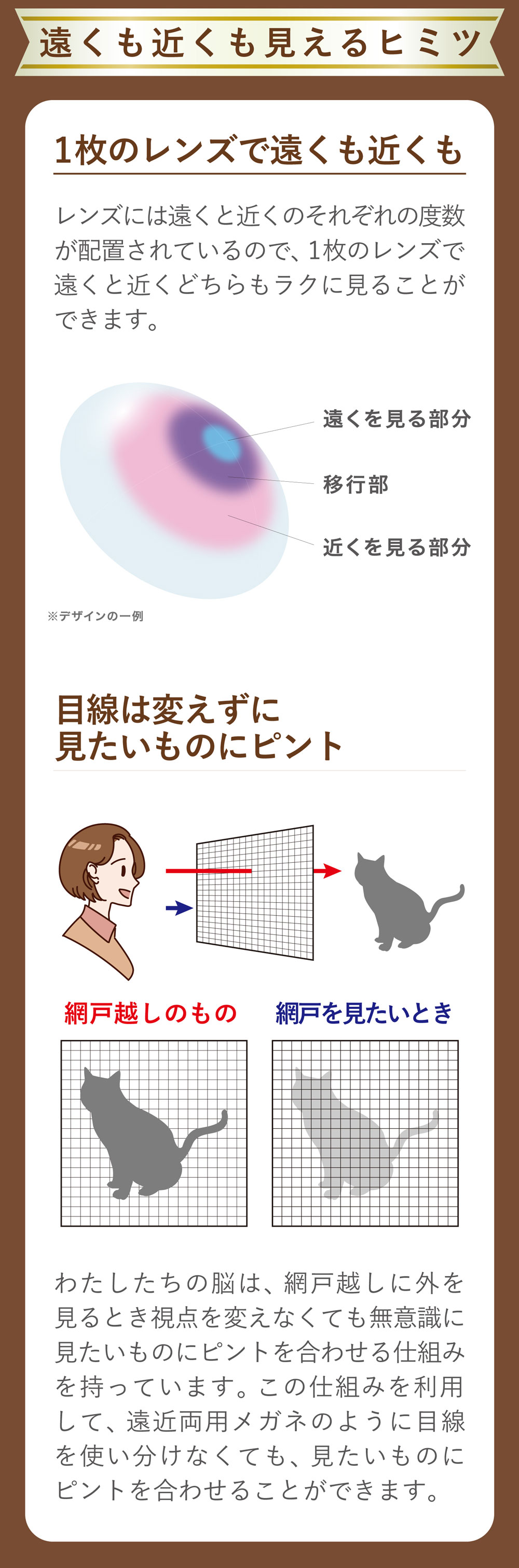 ワンデーピュアマルチステージ