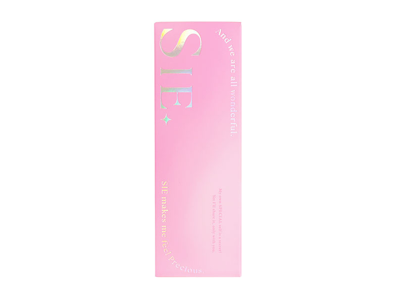 SIE. 1day [eB[t[g 10]