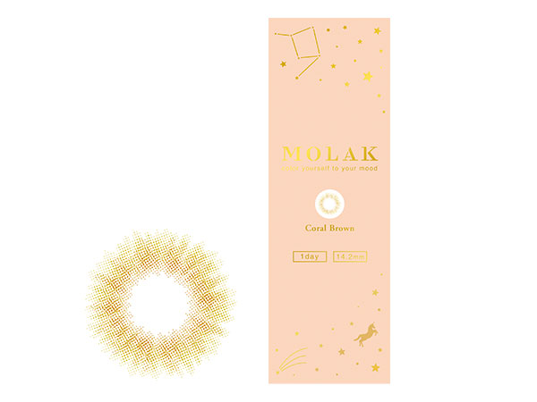 MOLAK 1DAY [�R�[�����u���E�� 10������]