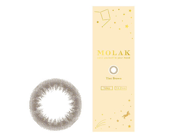 MOLAK 1DAY [�e�B���g�u���E�� 10������]