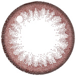 candy magic 1day(ビギナーチョコレート)