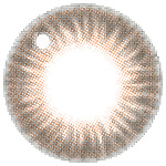 candy magic 1day(グラスブラウン)