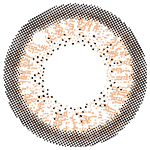 candy magic 1day(ナチュラルブラウン)