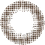 Revia TORIC 1day CIRCLE(ブラウン)