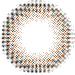 Revia TORIC 1day COLOR(メルティベア)