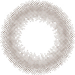 Revia TORIC 1day CIRCLE(ムースブラウン)