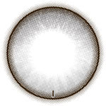 MOLAK TORIC 1day
(ドーリッシュグレー)