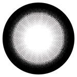 RESAY 1month(シルバーウルフ)