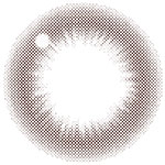 ReVIA BLB 1day COLOR(ベーシックバリア)