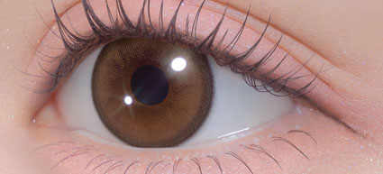 Chapun(シャプン)(きらゆめブラウン)