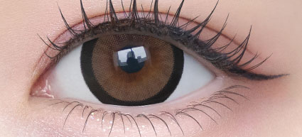 Chapun(シャプン)(みつめてブラウニー)