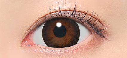 candy magic 1day(ビギナーブラック)