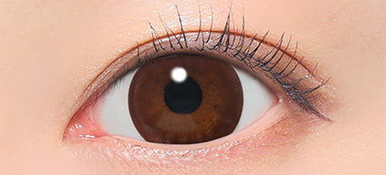 candy magic 1day(ビギナーチョコレート)