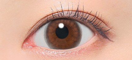 candy magic 1day(デートブラウン)