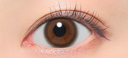 candy magic 1day(ルルブラウン)