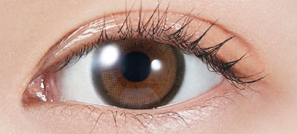 MOLAK TORIC 1day
(ブラウンバニー)