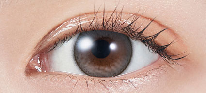 MOLAK TORIC 1day
(ドーリッシュグレー)