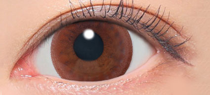 secret candy magic 1day(NO.1チョコレート)