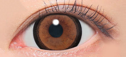 secret candy magic 1day(NO.3ブラウン)