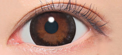 secret candy magic 1day(NO.5ブラック)