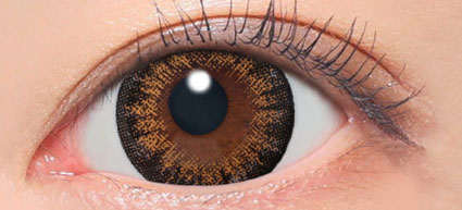 secret candy magic 1day(NO.6ブラウン)