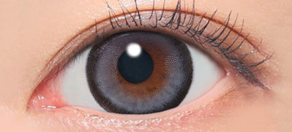 secret candy magic 1day(プルモグレー)