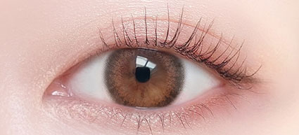 ビュームワンデー(レディショコラ)